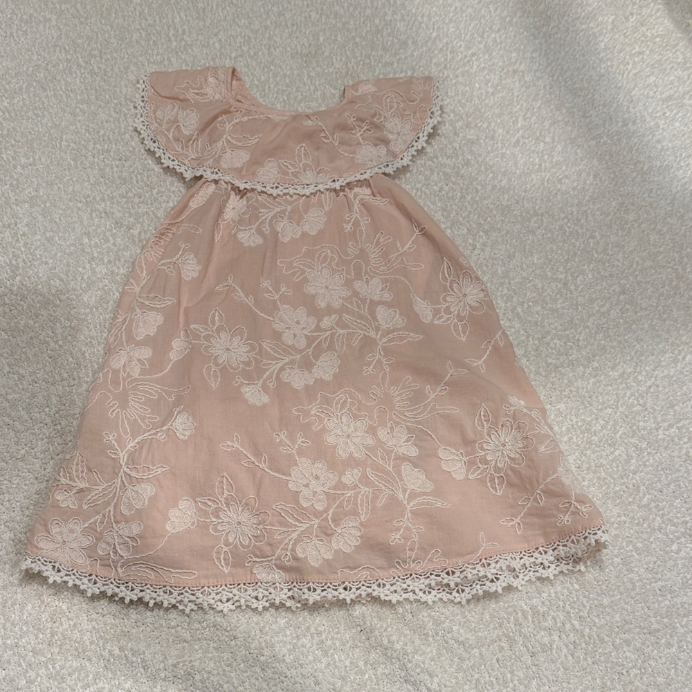 Zara Blush Pink Floral Embroidered Dress